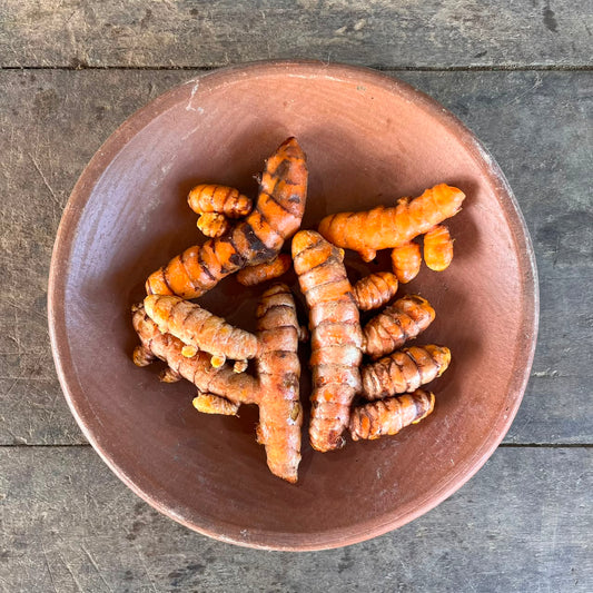 Turmeric - Kunyit