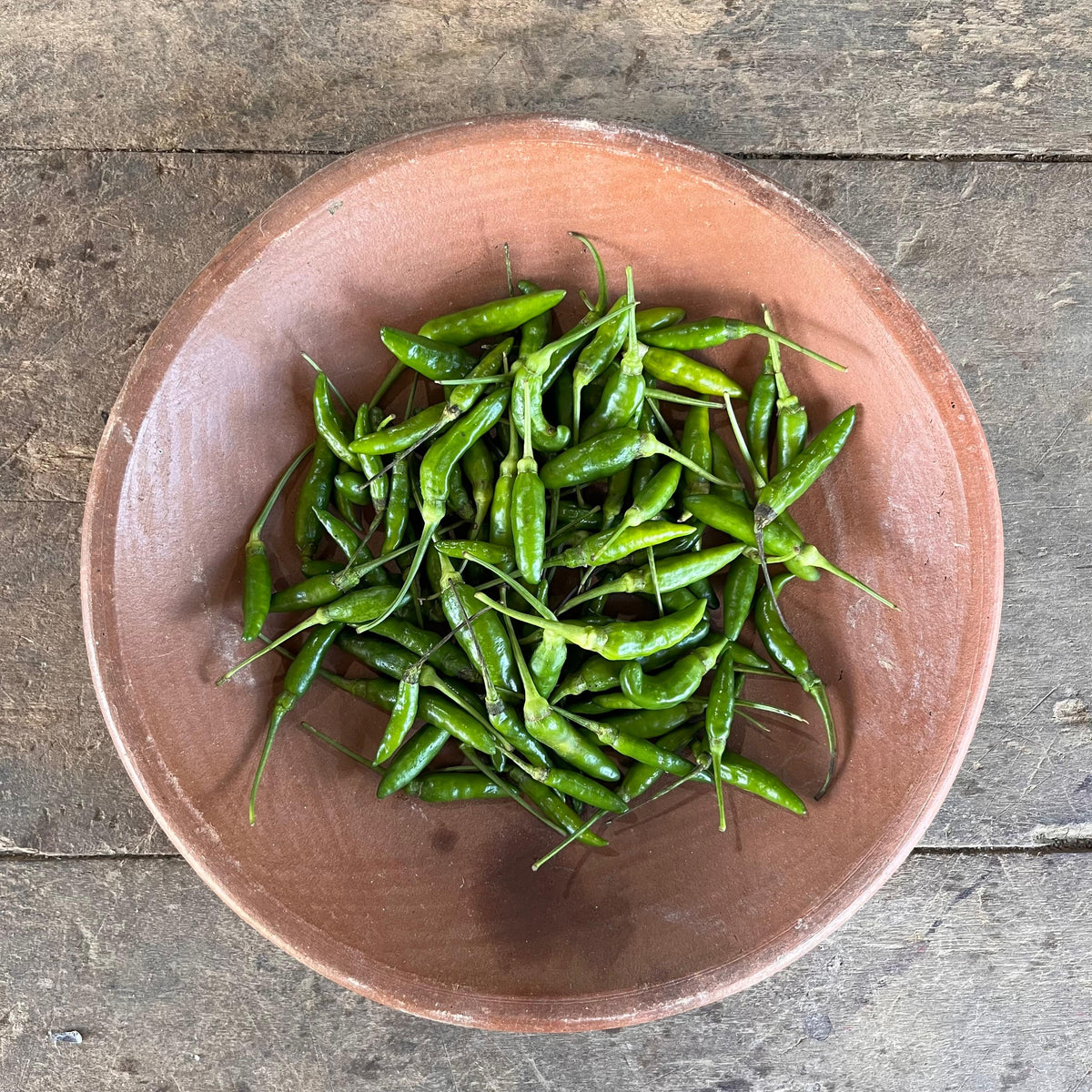 Chili Pepper - Hot - Birds Eye - Pickle - Green