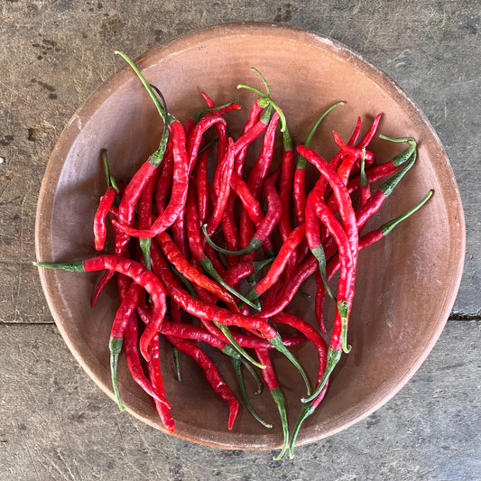 Chili Pepper - Hot - Curly Mild Red