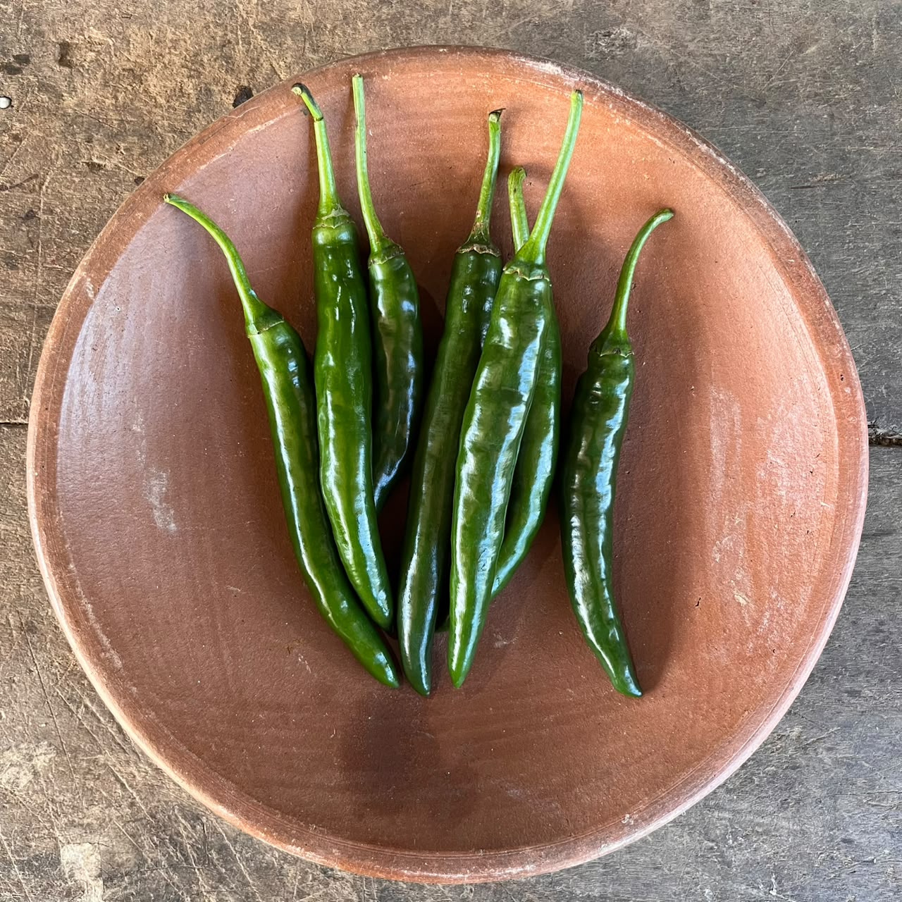 Chili Pepper - Hot - Thai Green