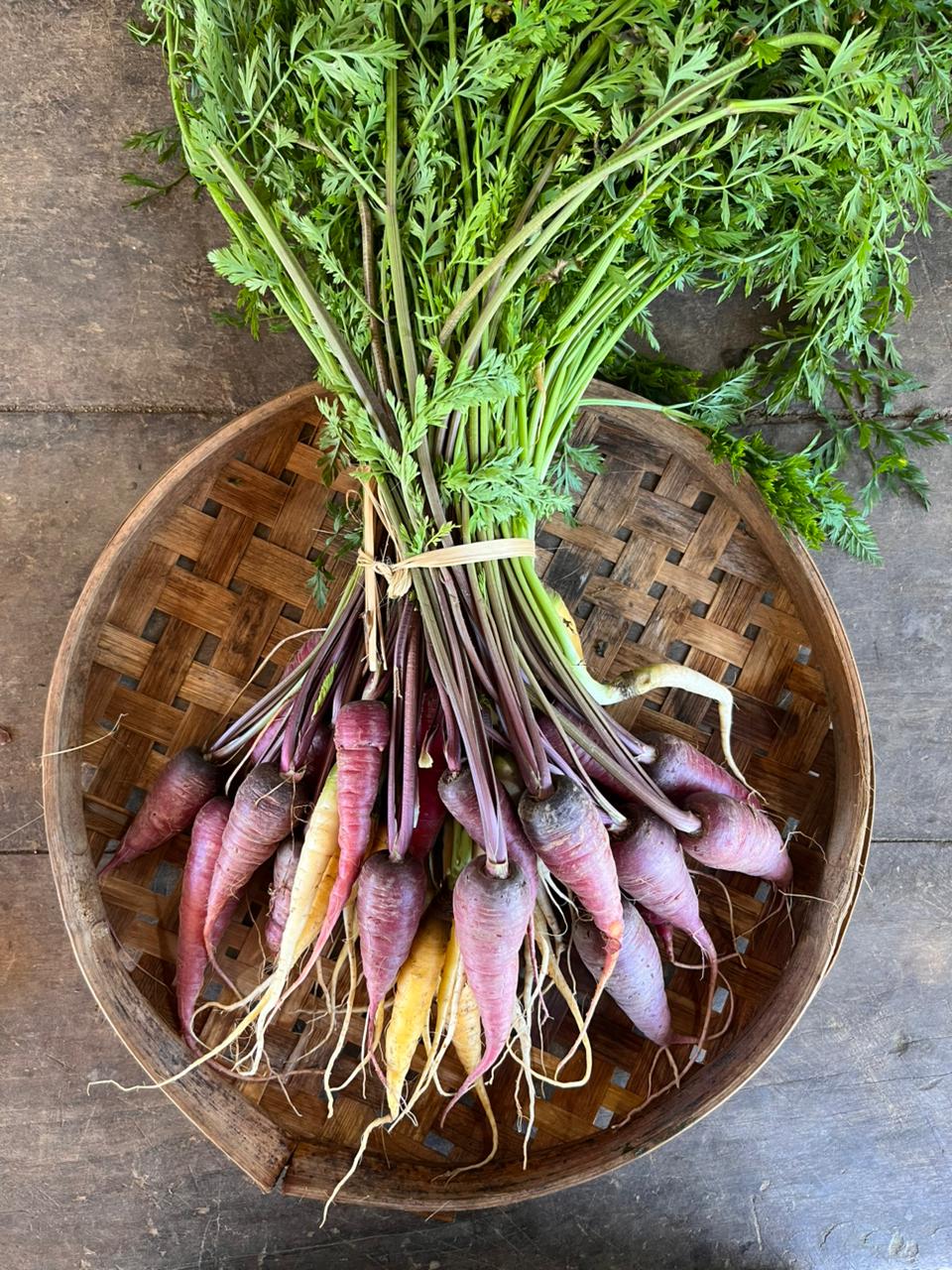 Carrot - Heirloom Specialities