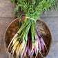 Carrot - Heirloom Specialities