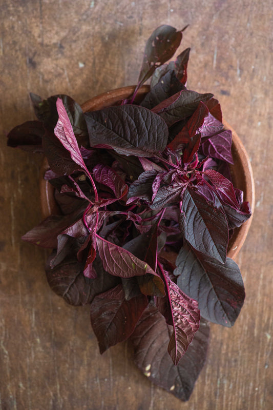 Spinach, Amaranth Red / Bayam