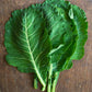 Collard Greens
