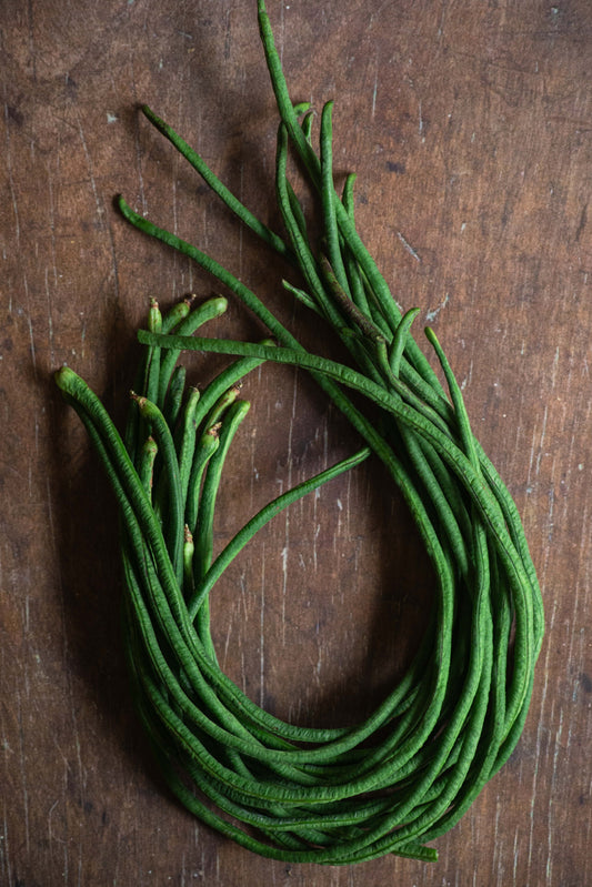 Green Bean, Yard Long