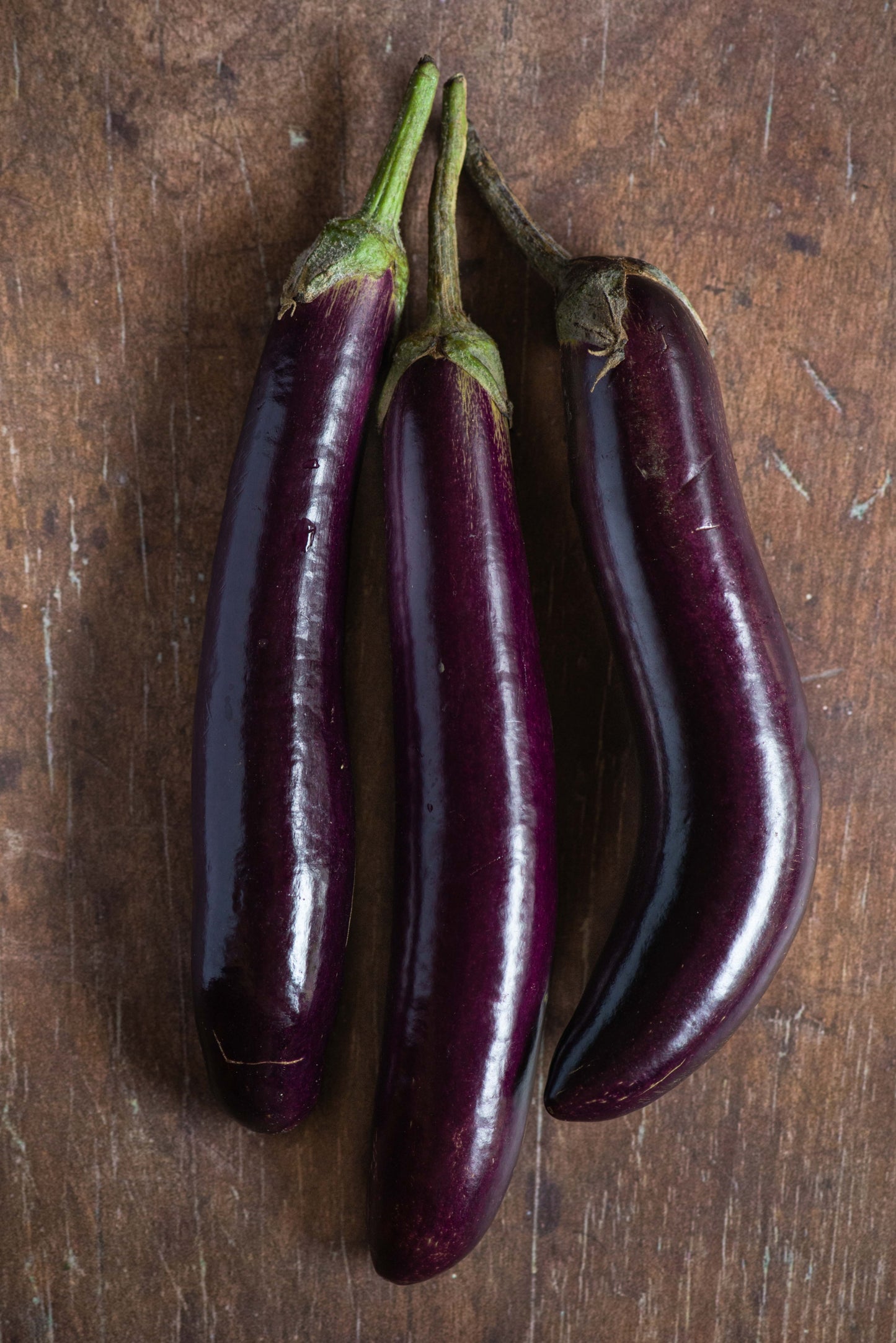 Eggplant, Long Purple