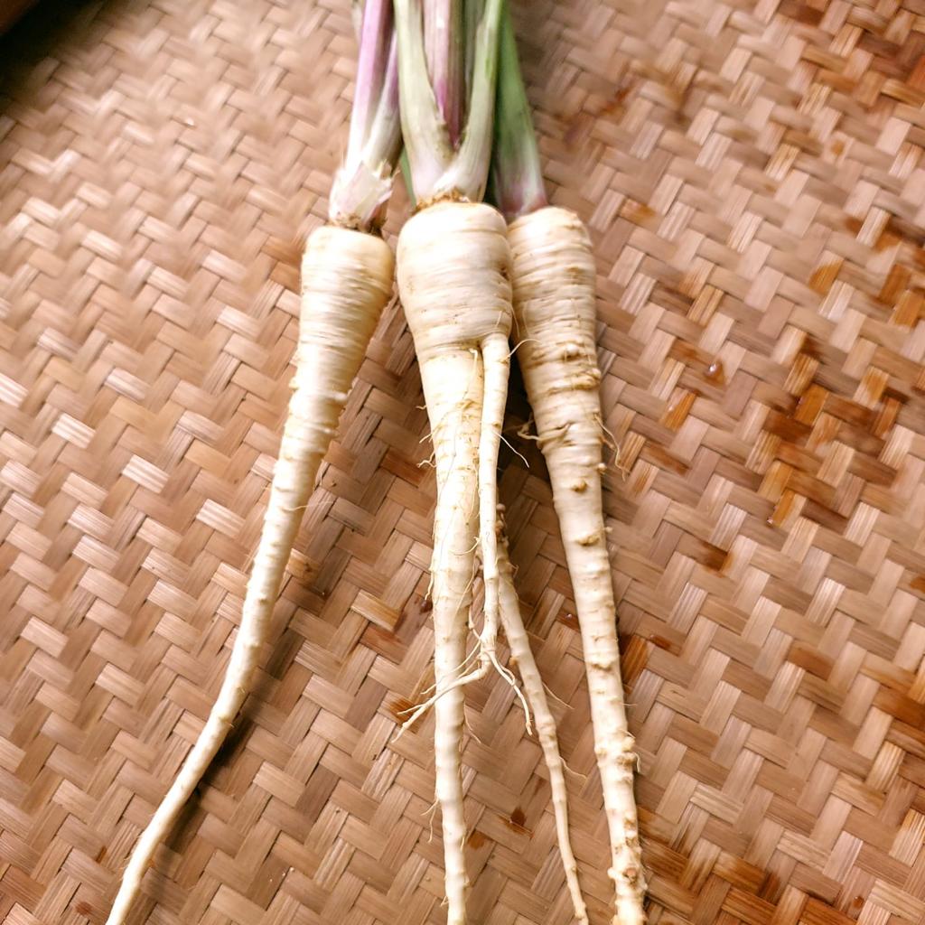 Parsnip