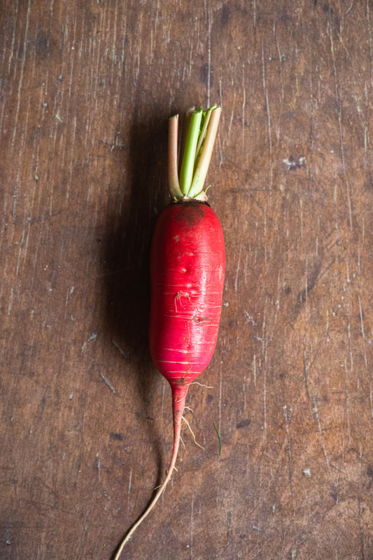 Radish, Chinese Sweet