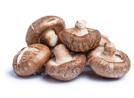 Mushrooms, Shiitake