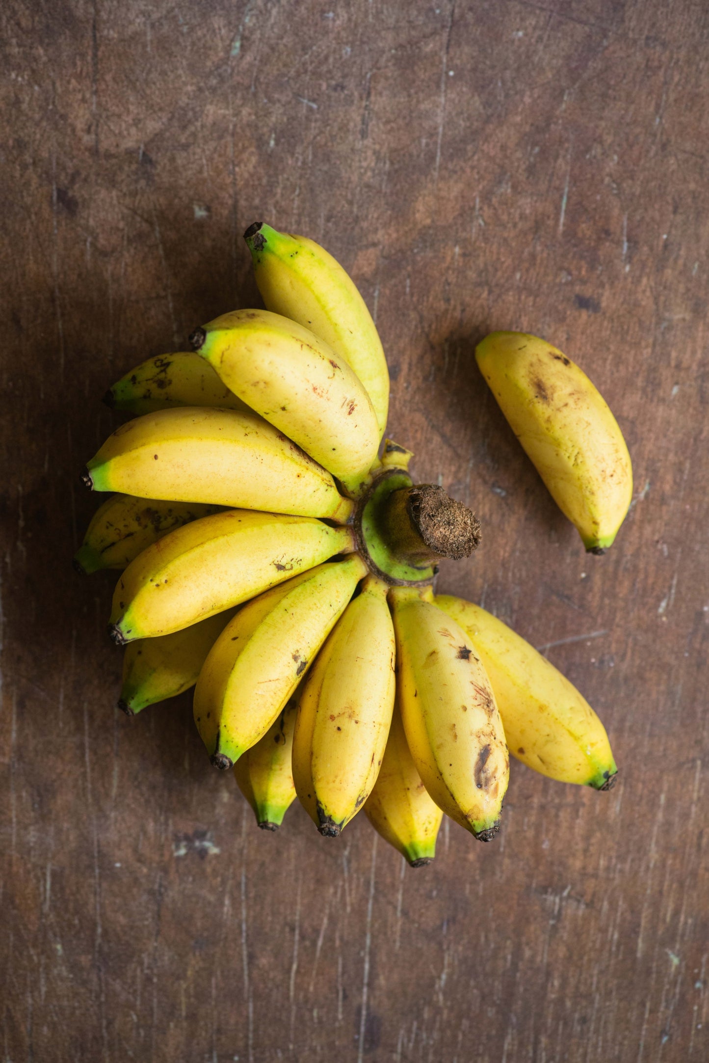 Banana, 'Pisang Susu'