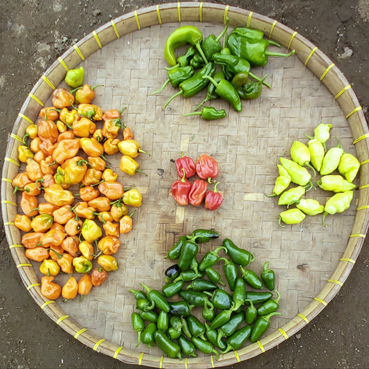 Chili, Mix of Peppers