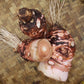 Taro / Talas