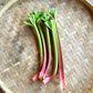 Rhubarb