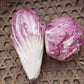 Lettuce, Radicchio