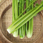 Celery Stick