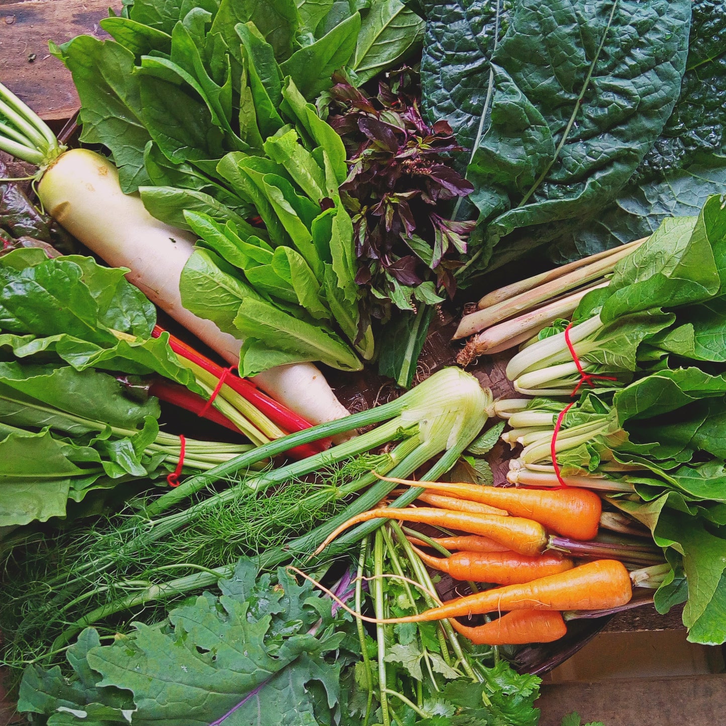 Harvest Basket x 4