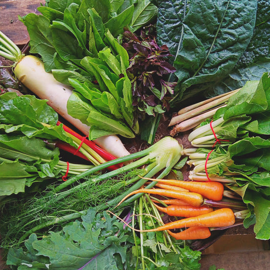 Harvest Basket x 4