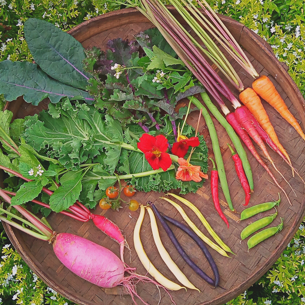 Delivering fresh organic vegetables & fruits from our farms to you ...