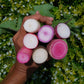 Radish, Seasonal Mix