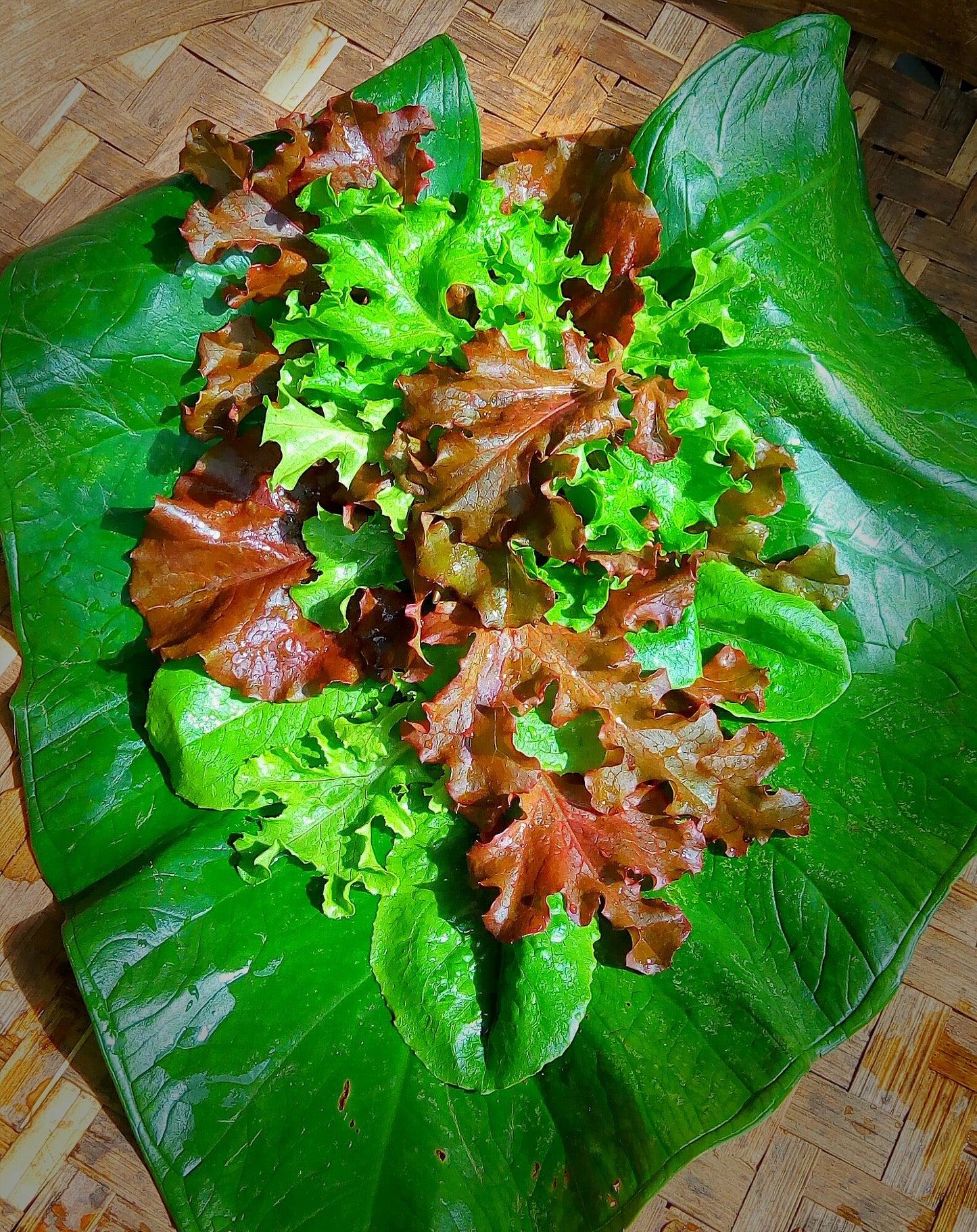 Salad, Mix