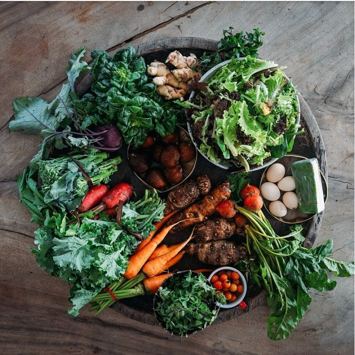 Harvest Basket x 4
