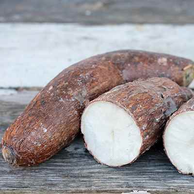 Cassava / Yucca Roots