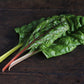 Swisschard, Rainbow