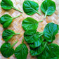 Tatsoi/ Rosette Bok Choy, Baby Leaf - 200 g