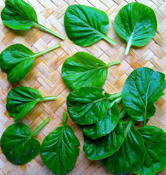 Tatsoi / Rosette Bok Choy, Baby Leaf - 200 g