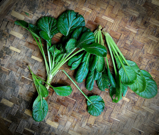 Tatsoi / Rosette Bok Choy, Bunch - 300 g