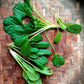 Tatsoi / Rosette Bok Choy, Bunch - 300 g