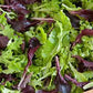 Salad, Mix