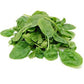 Spinach, English Baby