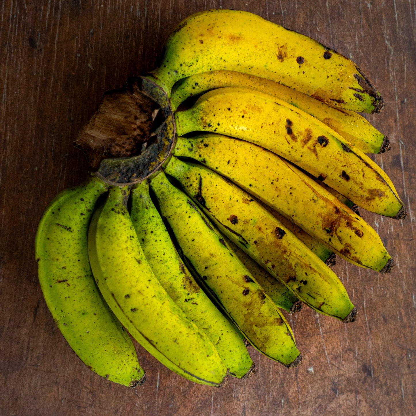 Banana, 'Pisang Ambon'