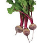 Beetroot, Baby Red