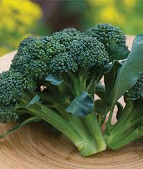 Broccoli, Homegrown