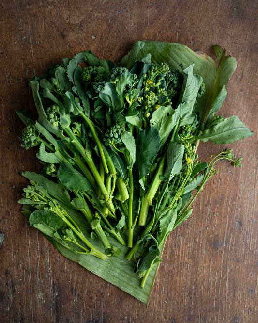 Broccolini