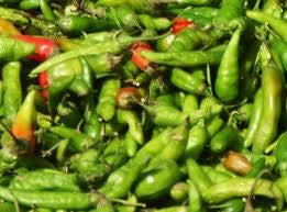Chili, Green Bird's Eye