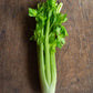Celery Stick