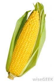 Corn, Sweet
