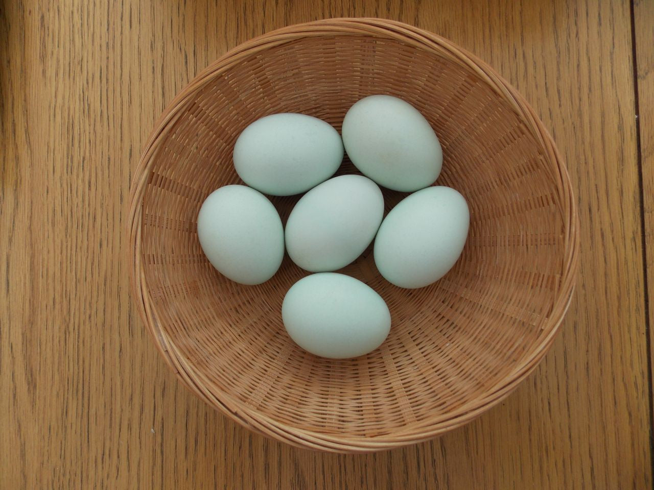 Eggs, (Ayam Kampung)