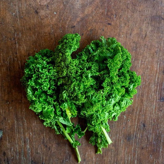 Kale, Dwarf Blue Scotch Curly