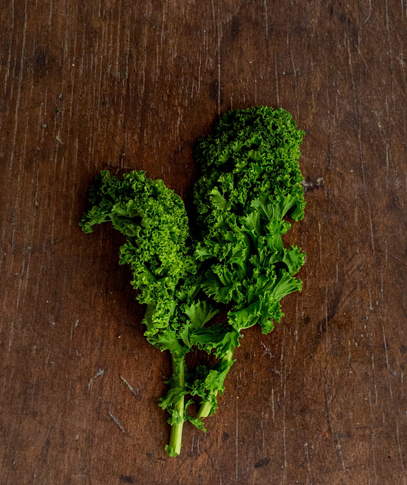 Kale, Dwarf Blue Scotch Curly