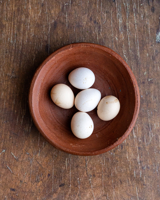 Eggs, (Ayam Kampung)