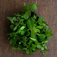 Mint, English Garden