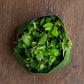 Mint, English Garden