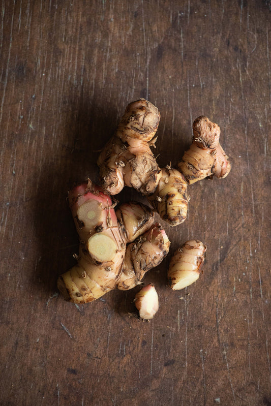 Ginger, Greater Galangal