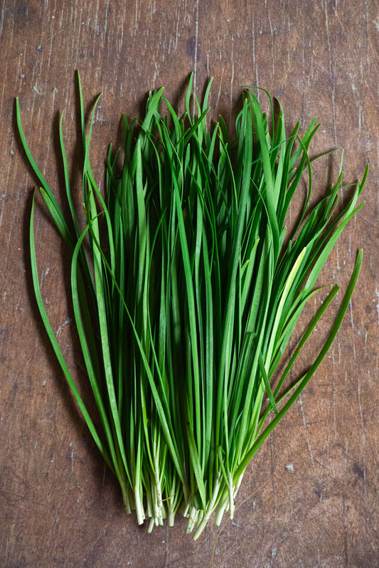 Chives, Garlic