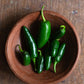 Chili, Jalapeno Pepper
