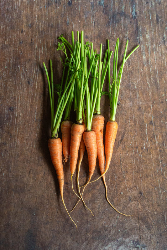 Carrot, JUICING